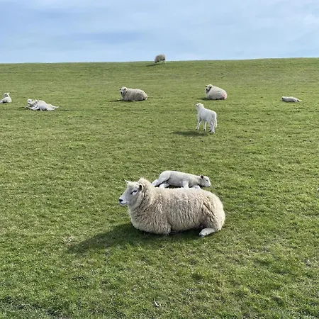Neu! Flussland Naehe Spo