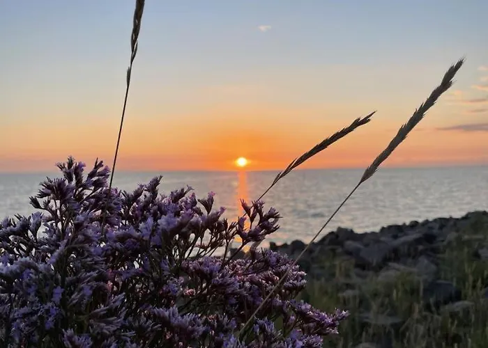 Neu! Flussland Naehe Spo Lehe (Schleswig-Holstein)