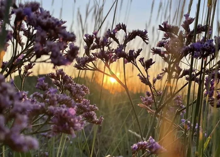 Neu! Flussland Naehe Spo Appartement Lehe (Schleswig-Holstein)