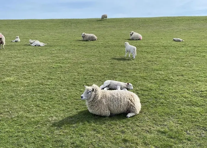 Neu! Flussland Naehe Spo